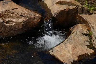 DSC_9940 (Large).JPG